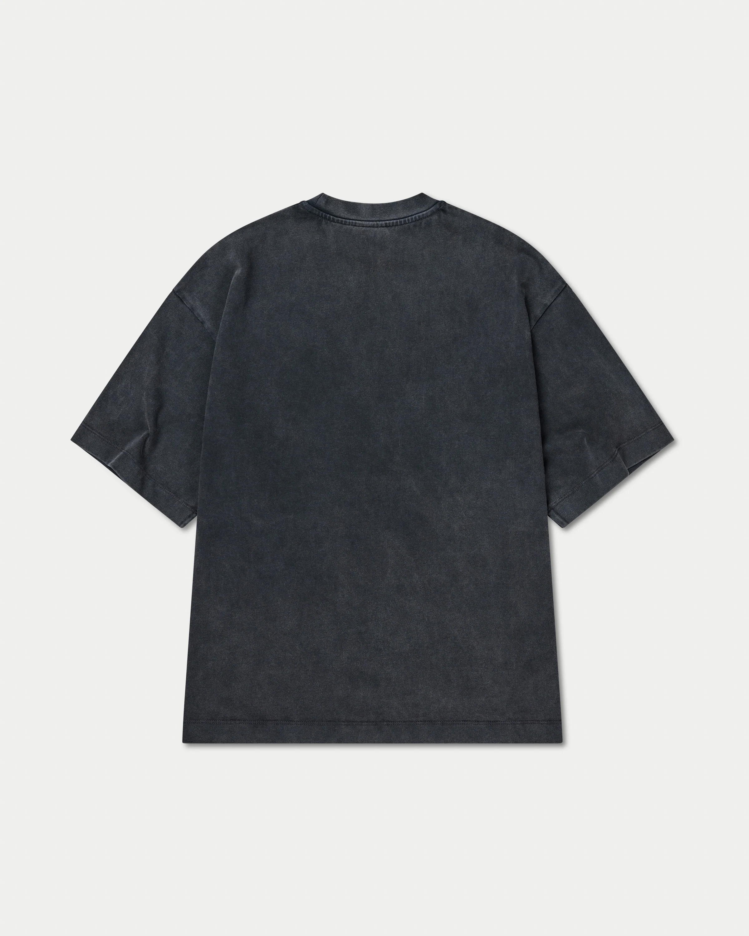 Womens Signature Washed Oversized T-shirt - Image 7